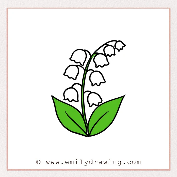 Preview of Lily Of The Valley drawing